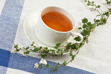 herbal tea