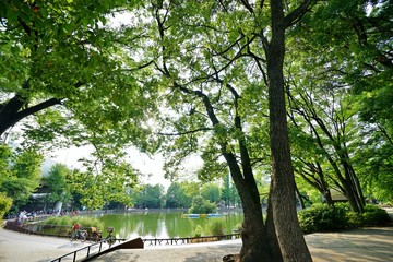 緑の公園