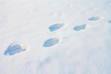 Footprints in snow