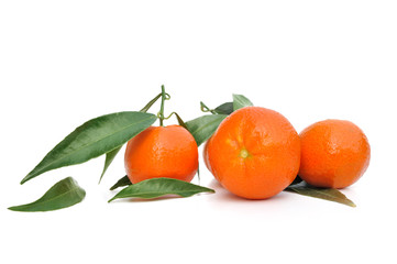 clémentines et feuillage isolées sur fond blanc