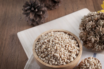 pearls barley grain seed on background