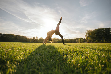 Healthy young woman doing yoga