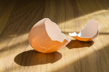 Eggshell, which is visible by sunlight shining through,on wood b