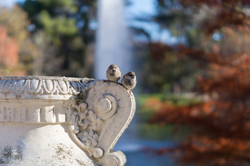 Two birds on vase sculpture in park. View of fountain in background.