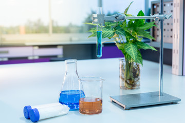 Laboratory glassware, bottle, flasks for experiment in lab.