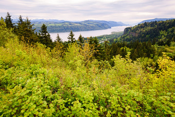 Columbia Gorge National Scenic Area