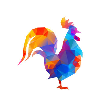 Rooster, symbol of New Year 2017