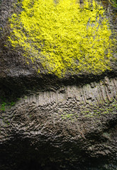 Columbia Gorge National Scenic Area