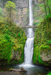 Fototapeta premium Narodowy obszar krajobrazowy Columbia Gorge