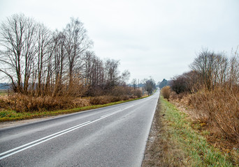 Fototapeta premium road in the country