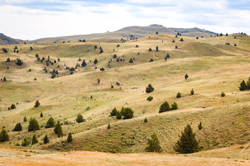 Obraz premium Oregon High Desert