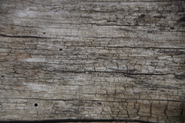 texture of the old cracked wood without bark