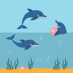 Fototapeta premium dolphin show, dolphinarium, sea lion, seal, aqua circus, ocian animal