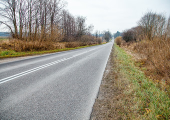 Fototapeta premium road in the country