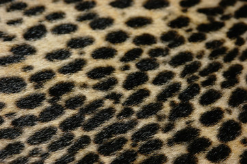 Faux leopard fur texture background