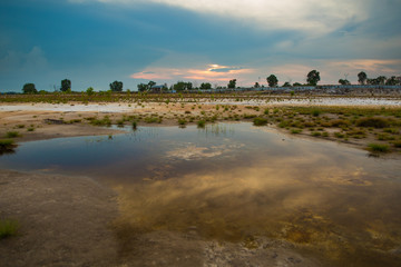 Field Landscape shot