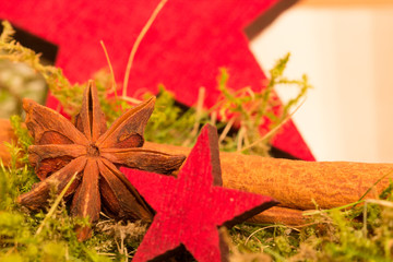 Sterne mit Sternanis im Moos © OFC Pictures