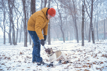 French Bulldog dog playingin the winter with man