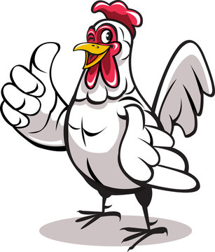 Vector illustration, a rooster shows thumb up as a mascot