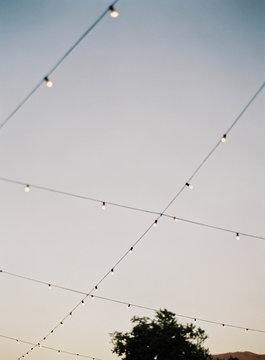 String lights, low angle view