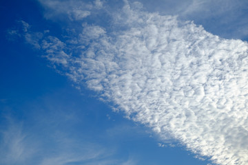 Fototapeta premium white strange altocumulus cloud with blue sky background