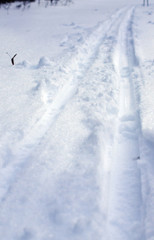 Naklejka na ściany i meble Cross-country ski trail