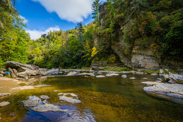 The Linville River below Linville Falls, along the Blue Ridge Pa