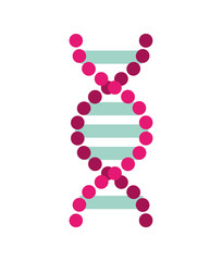 dna molecule isolated icon vector illustration design
