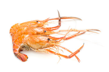 Grilled giant freshwater prawn isolated on white