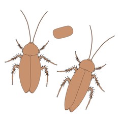 2d cartoon illustration of cockroach