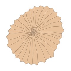 2d cartoon illustration of shell