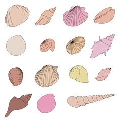 2d cartoon illustration of shells set
