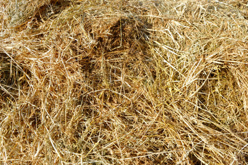 Cluster straw, truss straw - abstract background