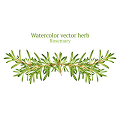 Fototapeta premium Watercolor vector vignette with rosemary