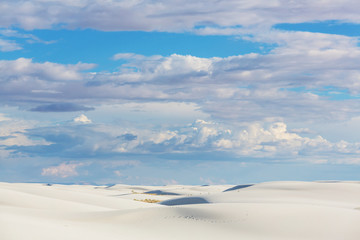 White sands