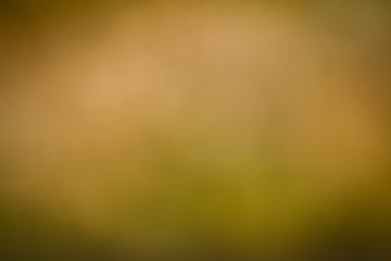 Awesome abstract blur background for webdesign