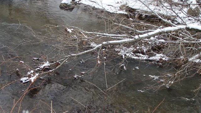 rivi&egrave;re en hiver