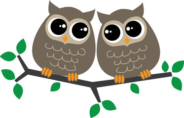two sweet owls sitting together