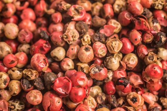 Brazilian Pink Pepper