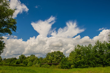 Obraz premium clouds and forest