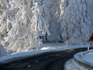 Stra&szlig;e durch Winterlandschaft