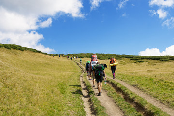 A group of tourists traveling in the Carpathian mountains