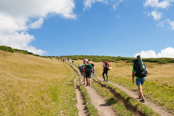 Obraz premium A group of tourists traveling in the Carpathian mountains