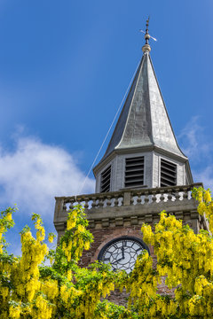 Inverness, Scotland - June 1, 2012: Closeup of the gray steeple at the Old High Church with clock and Laburnum or Golden Chain trees in front. Blue sky.