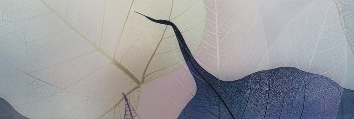 Fototapeten Fliese, transparente Blätter © serikbaib