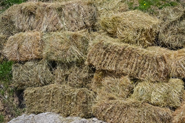 Closeup of a rolled hay