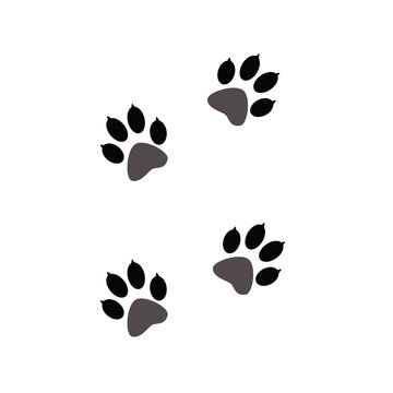 Paw prints animals on white. Animal tracks on a white isolated background. Steps animal drawn for the design of backdrops. © maestrovideo