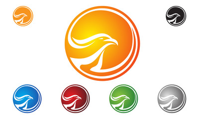 eagle, hawk, phoenix vector logo design