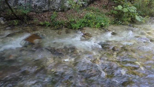 Clear brooklet in the summer. Spring video with sound