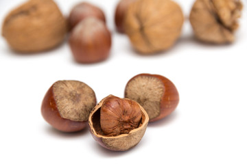 Haselnüsse auf weißem Hintergrund